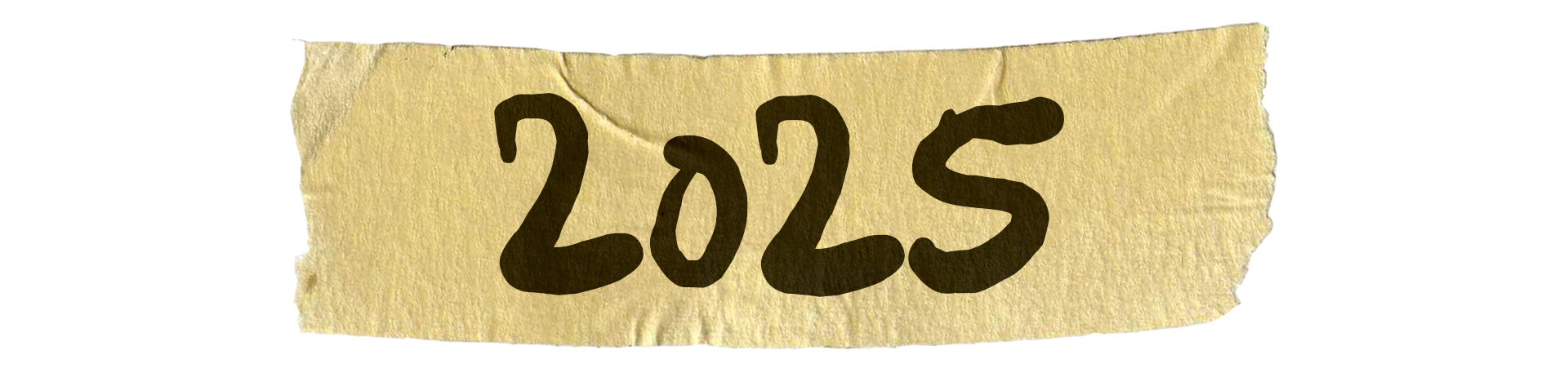 Nasze cele na 2025 rok – Rozwój marki Fazoo