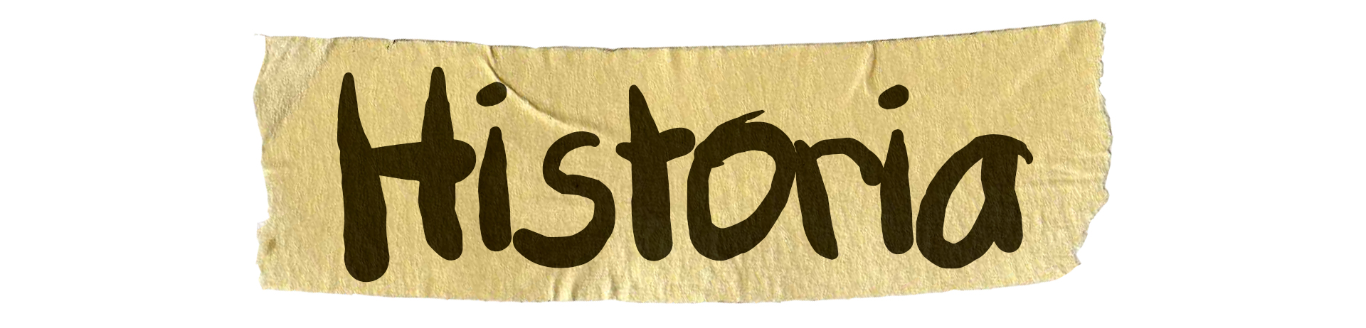 Historia MAWE i narodziny marki Fazoo